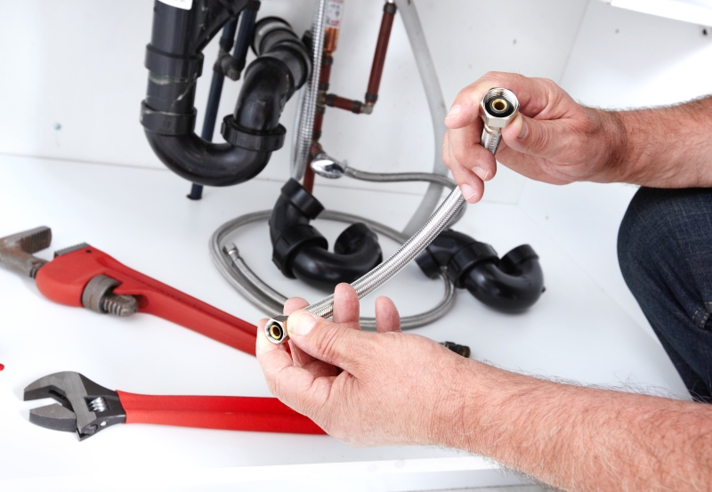 Toilet repair being carried out in West Watford